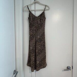ZARA Cheetah Dress